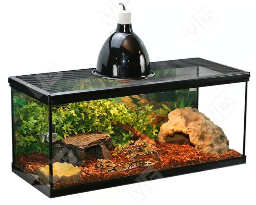 COMPLETE Baby Ball Python Setup - Image 2